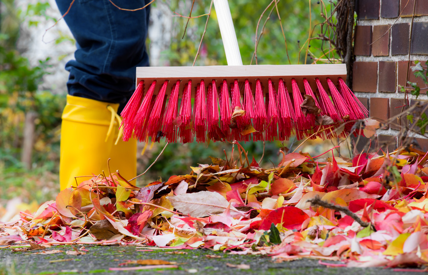 Leaves are swept together with a broom Leaves are swept together with a broom